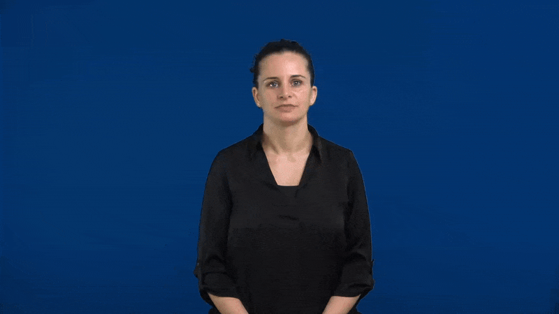 Prestiti da altre lingue dei segni