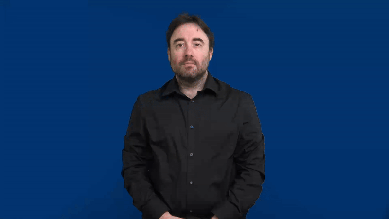 Componenti non manuali nelle interrogative polari