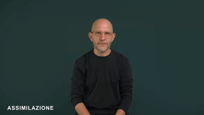 Assimilazione