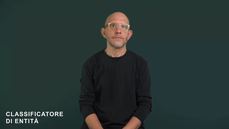 Classificatore di entità