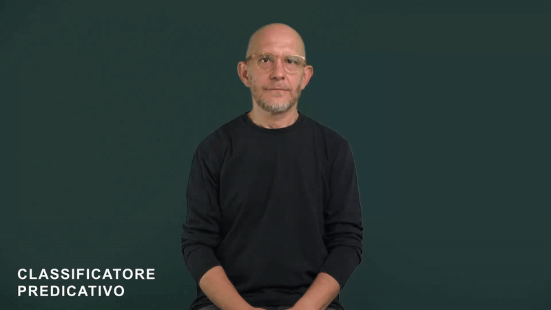 Classificatore predicativo