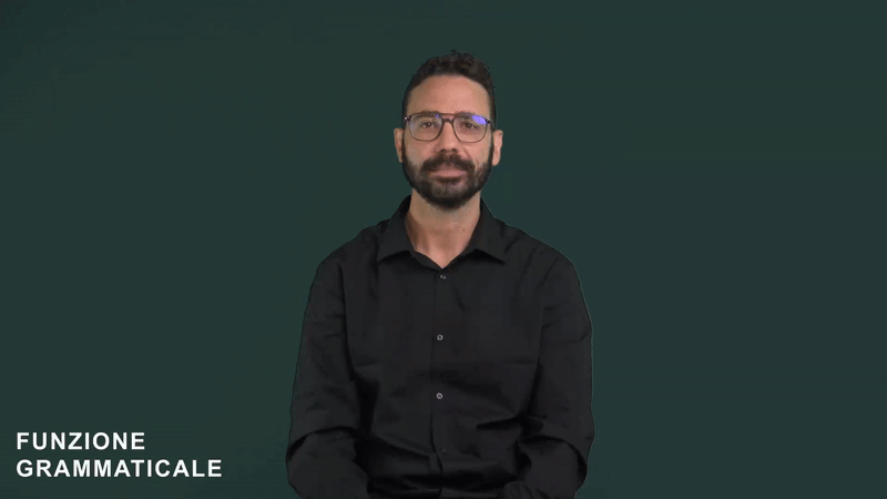 Funzione grammaticale