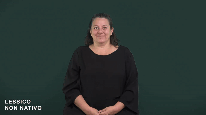 Lessico non nativo